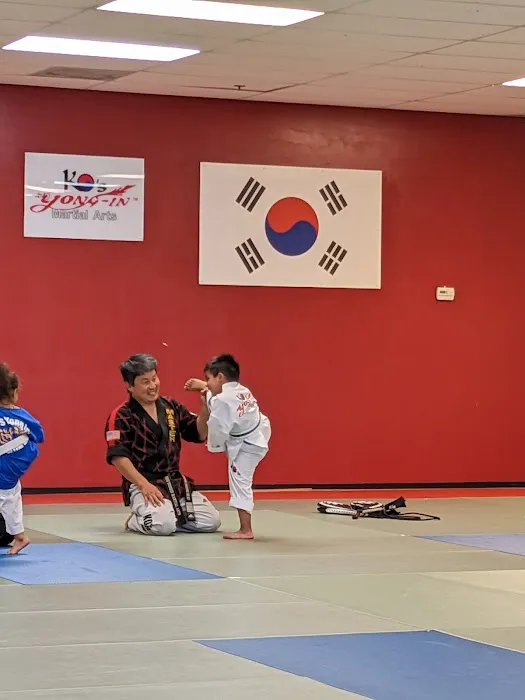 Ko's Yong In Martial Arts | Master Ko Martial Arts Picture 9