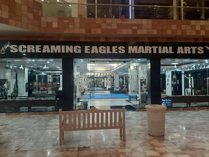 Screaming Eagles Martial Arts Picture 2
