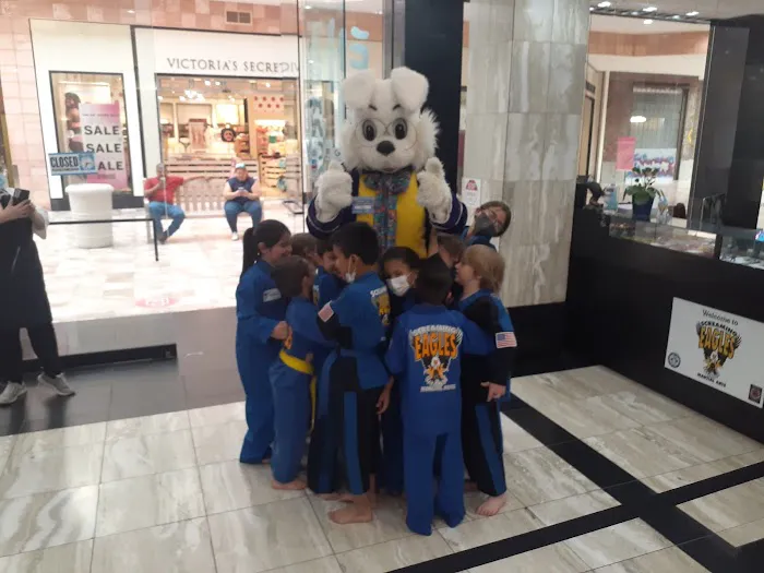 Screaming Eagles Martial Arts Picture 4