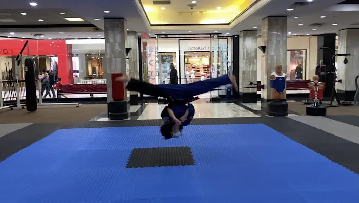Screaming Eagles Martial Arts Picture 8