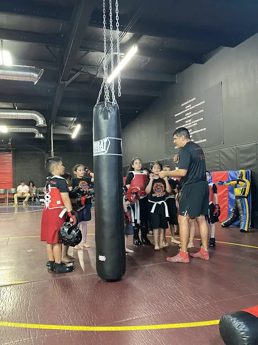 Order Of The Dragon Martial Arts Picture 2