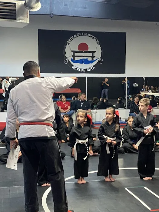 Order Of The Dragon Martial Arts Picture 4