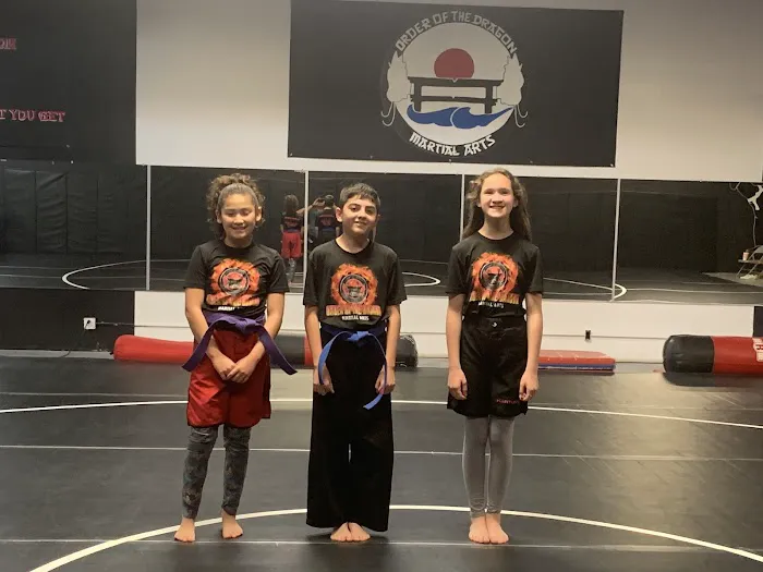 Order Of The Dragon Martial Arts Picture 3