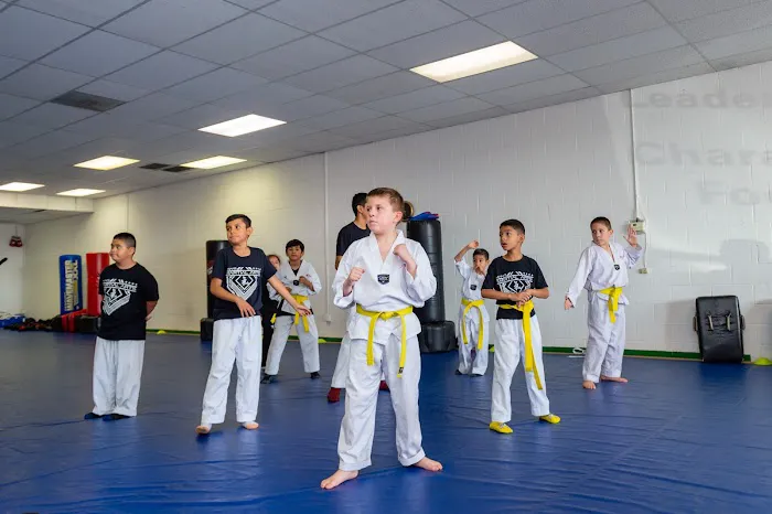 Han’s Martial Arts Picture 5