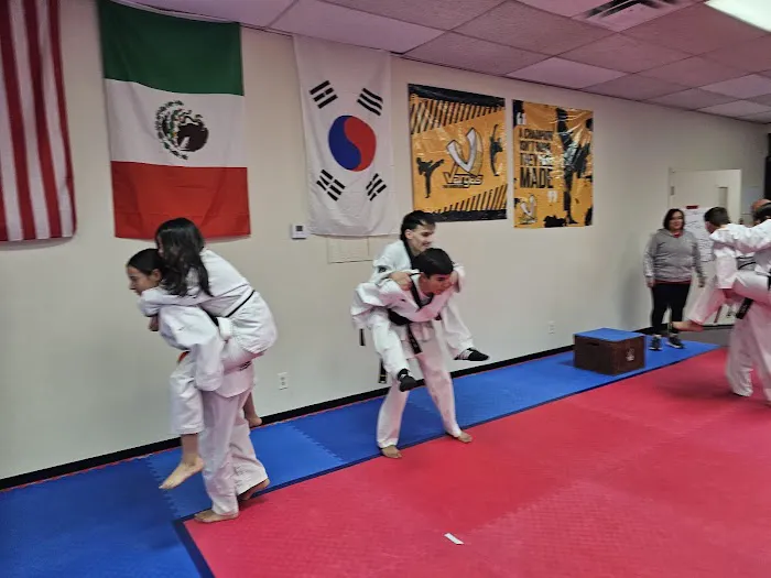 Vargas Taekwondo EP Picture 2