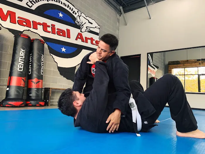 Championship Martial Arts Picture 5