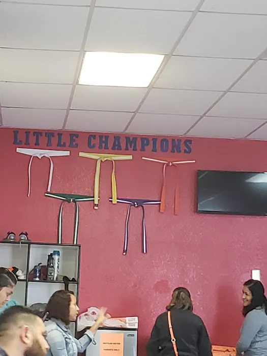 Champions Tae Kwon DO Center Picture 8