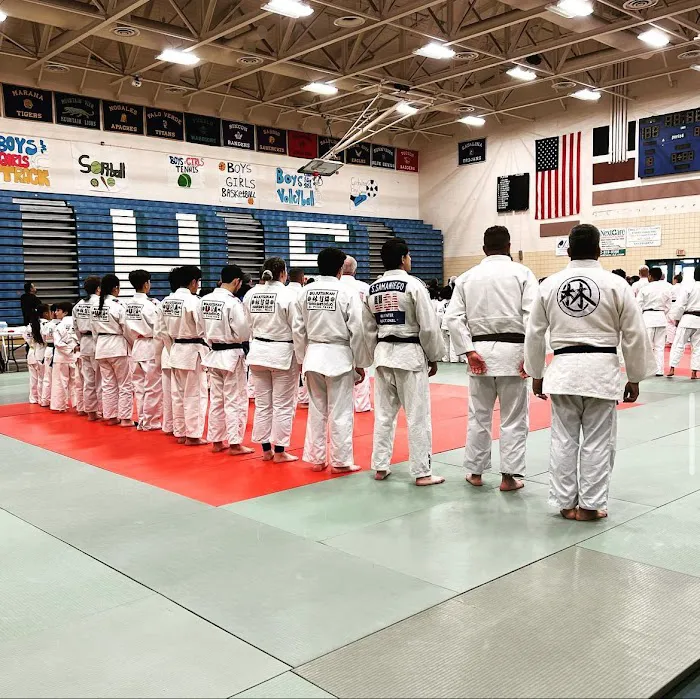 Hayashi's Martial Arts Academy - Hayashi Dojo EST. 1955 Picture 2
