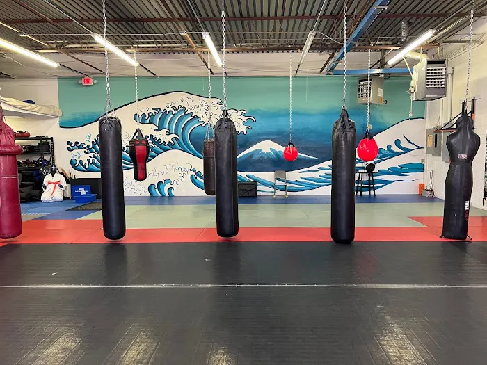 Hayashi's Martial Arts Academy - Hayashi Dojo EST. 1955 Picture 10