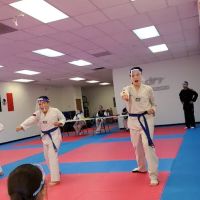 WARRIORS TAEKWONDO TEAM ico
