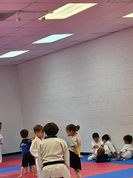 WARRIORS TAEKWONDO TEAM Picture 3