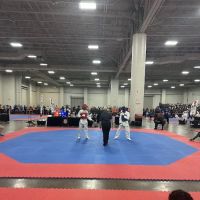 OTT Taekwondo USA ico