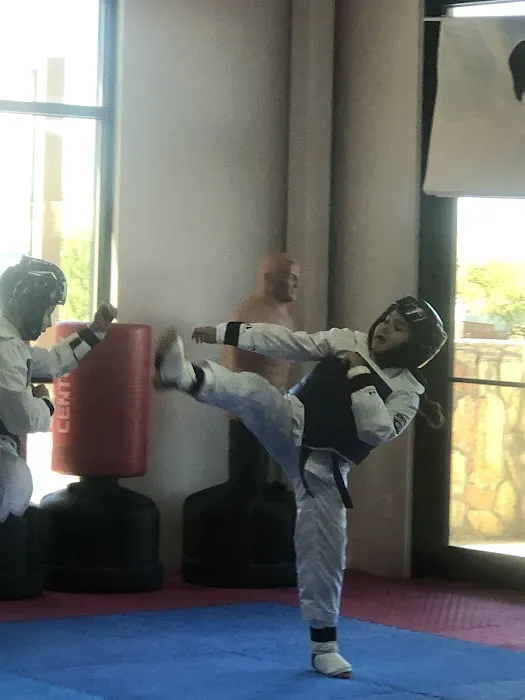 OTT Taekwondo USA Picture 6