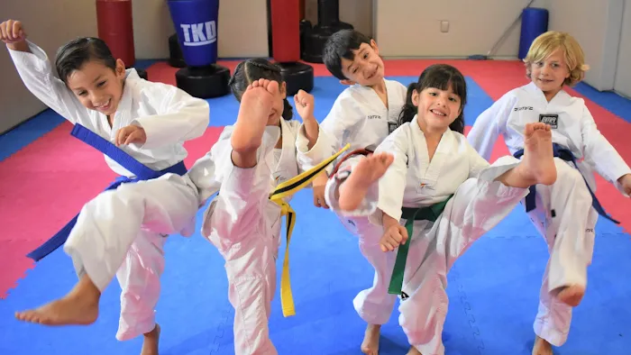 OTT Taekwondo USA Picture 10