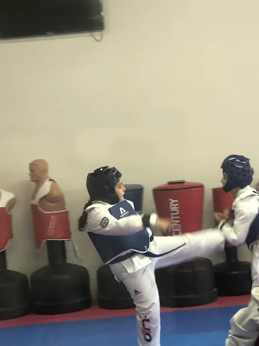 OTT Taekwondo USA Picture 8