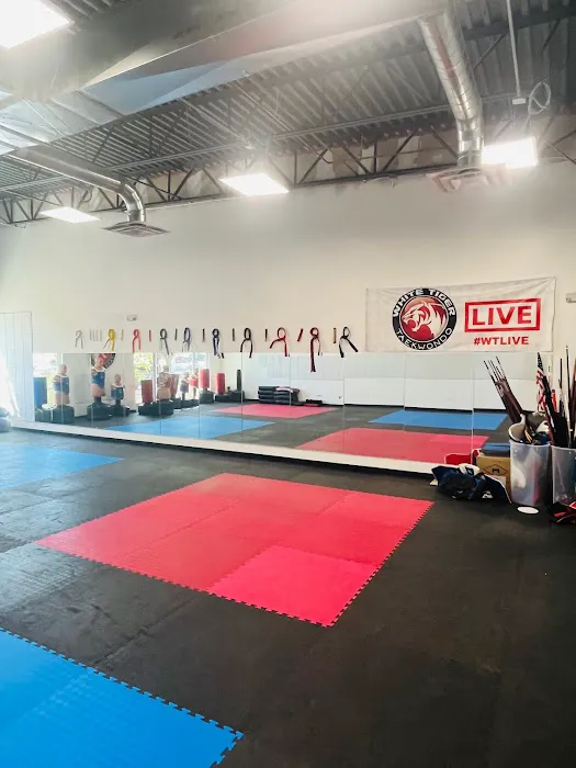 White Tiger Taekwondo Picture 9