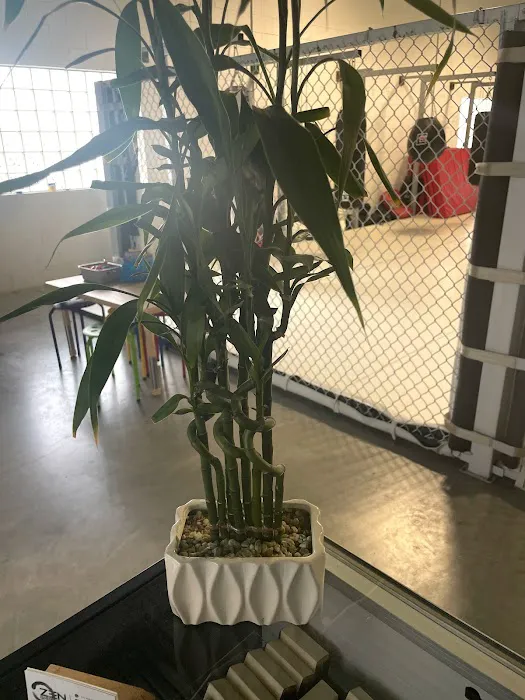 Zen Martial Arts Picture 3