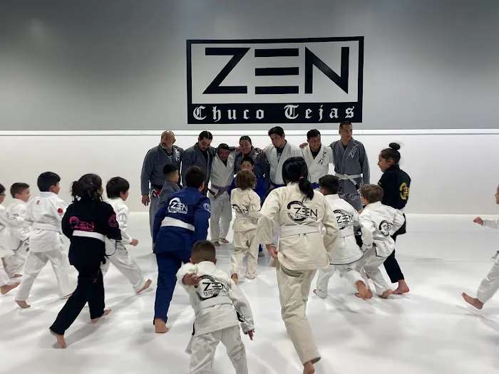 Zen Martial Arts Picture 8