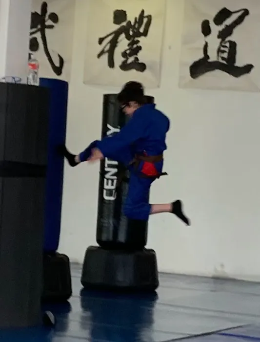Han's Oriental Martial Arts Picture 1