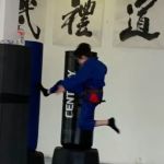 Han's Oriental Martial Arts