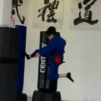 Han's Oriental Martial Arts ico