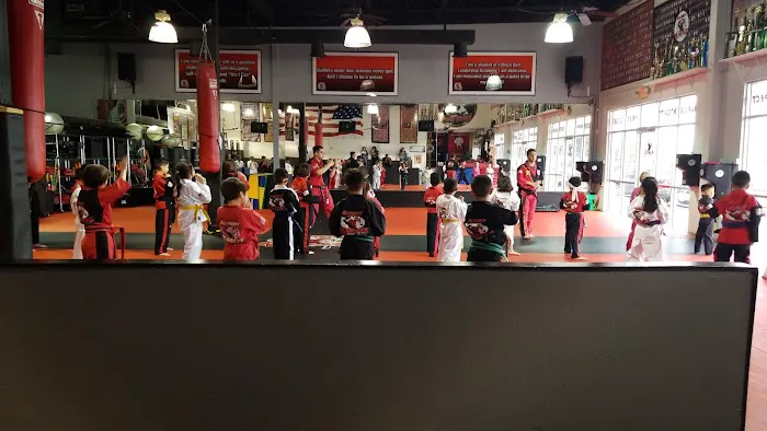 Alchemy Karate Academy Picture 1