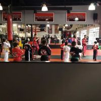 Alchemy Karate Academy ico