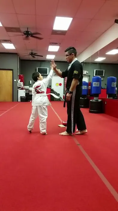 Alchemy Karate Academy Picture 7