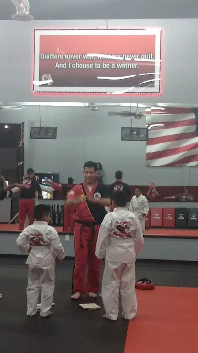 Alchemy Karate Academy Picture 5