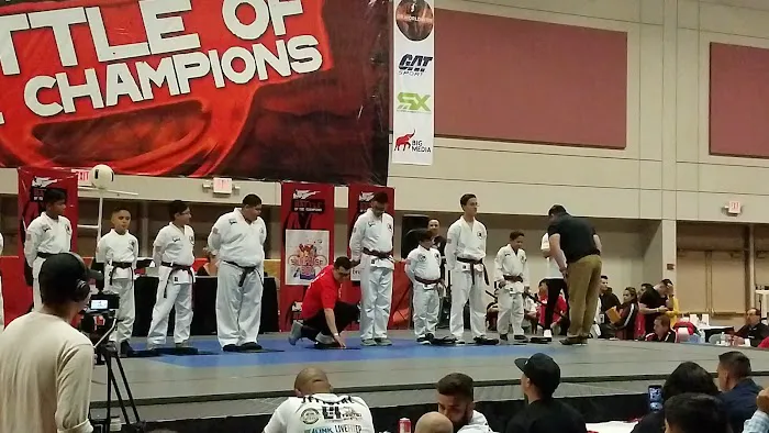 Alchemy Karate Academy Picture 9