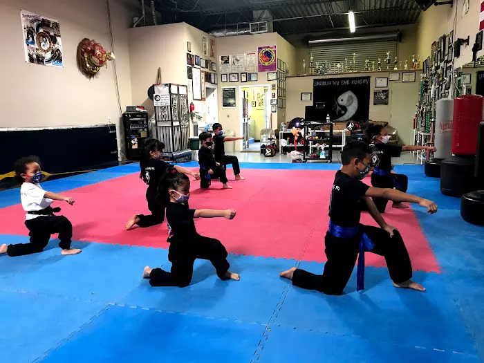 Shaolin WuShu Kung Fu LLC Picture 9