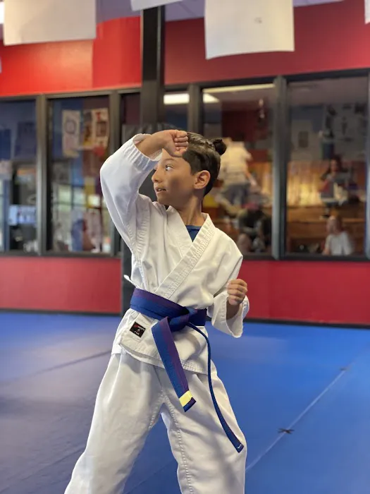 America's Best Karate Picture 5