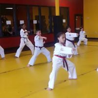 America's Best Karate ico