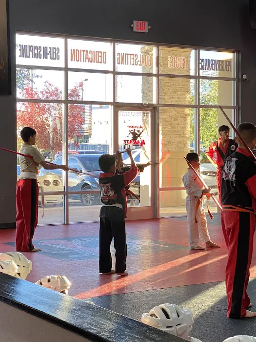 Alchemy Karate Academy Far East Picture 2