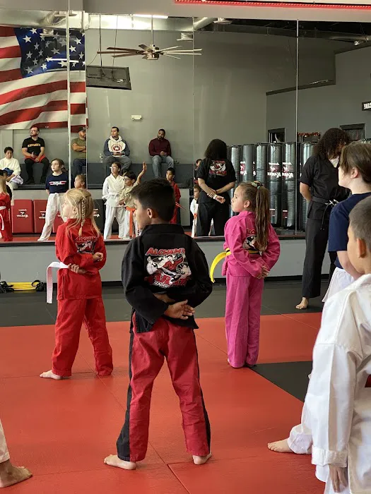 Alchemy Karate Academy Far East Picture 3