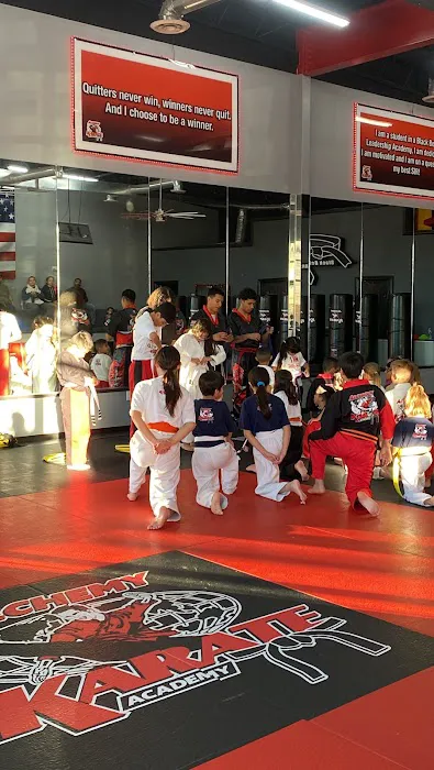Alchemy Karate Academy Far East Picture 5