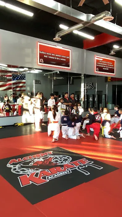 Alchemy Karate Academy Far East Picture 4