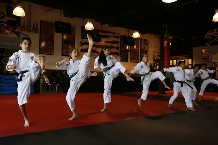 Alchemy Karate Academy Far East Picture 9