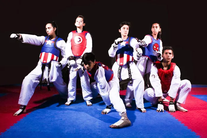 OTT Taekwondo EAST Picture 10