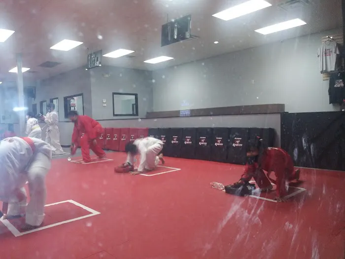 Alchemy Karate Academy Horizon Picture 2