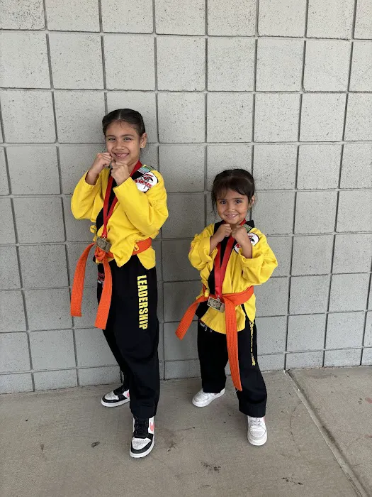 Alchemy Karate Academy Horizon Picture 3