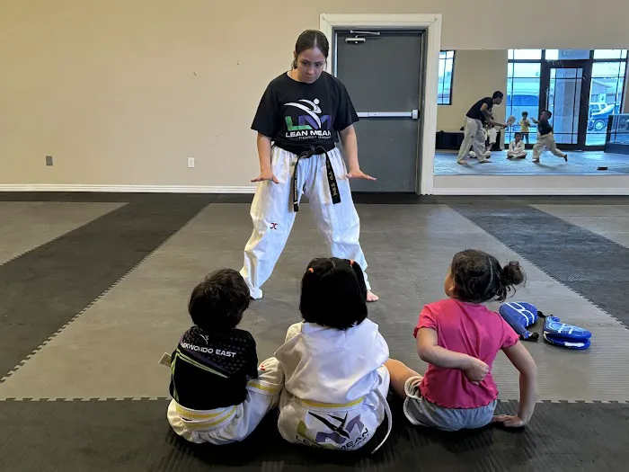 Lean Mean Taekwondo East Picture 6