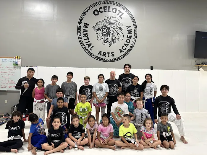 Ocelotl Martial Arts Academy Picture 4