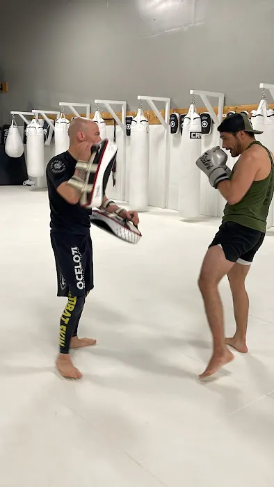 Ocelotl Martial Arts Academy Picture 2