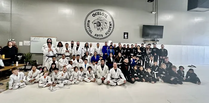 Ocelotl Martial Arts Academy Picture 1