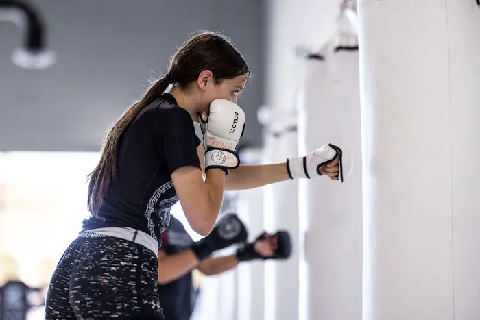 Ocelotl Martial Arts Academy Picture 5