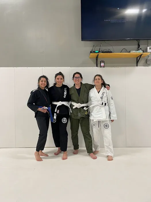 Ocelotl Martial Arts Academy Picture 10