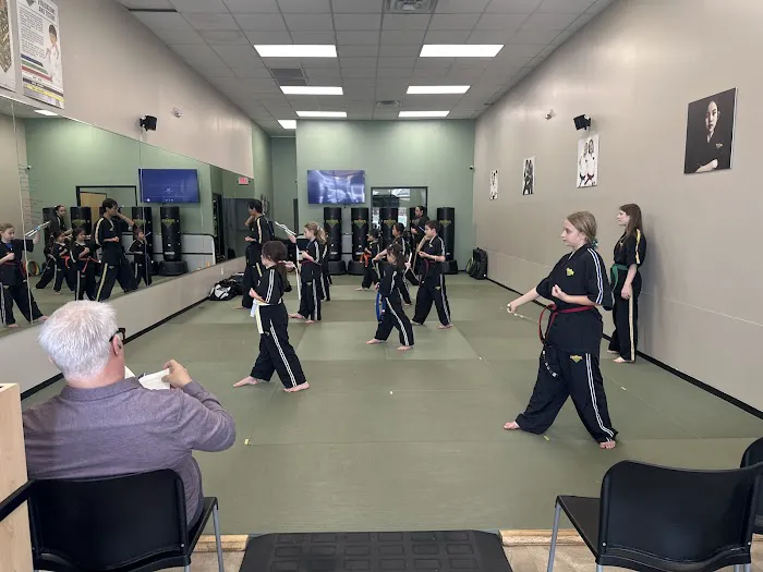 Premier Martial Arts River Oaks Picture 8