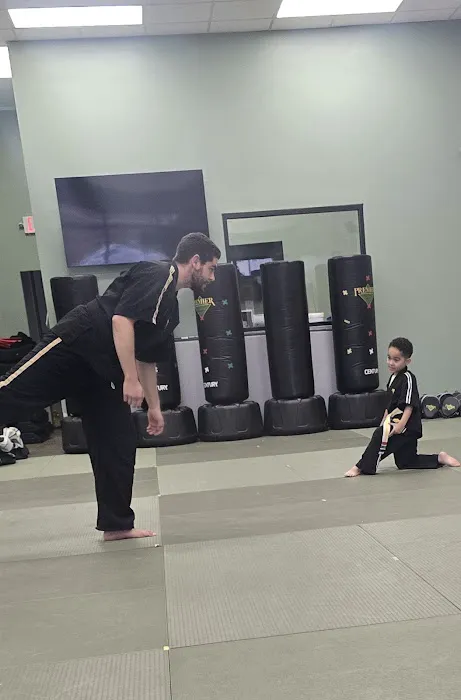 Premier Martial Arts River Oaks Picture 4