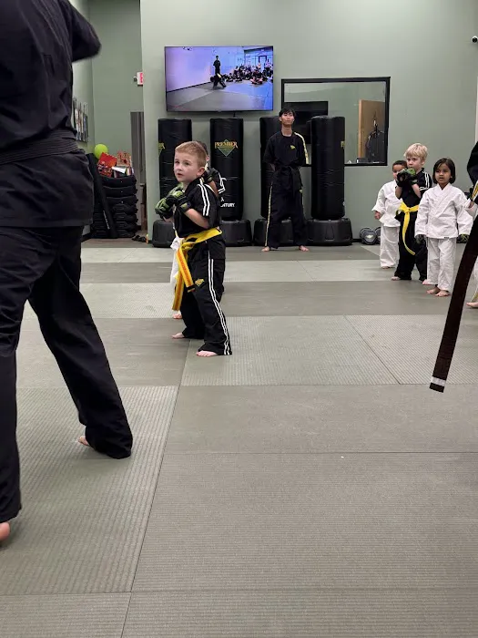 Premier Martial Arts River Oaks Picture 5